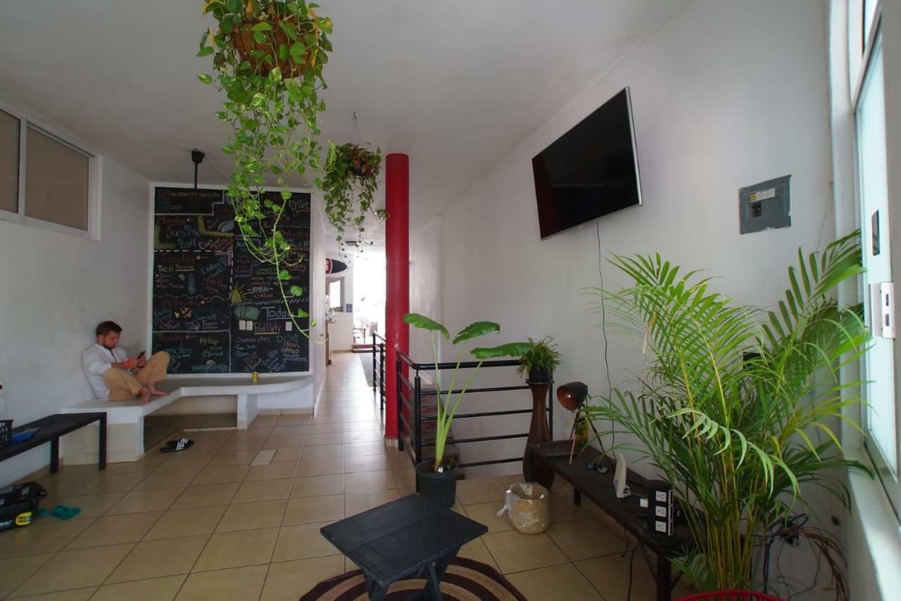 Lush Sayulita Hostel Eksteriør bilde